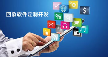 成都軟件開發(fā)公司進(jìn)行軟件定制開發(fā)的優(yōu)勢與缺點(diǎn)